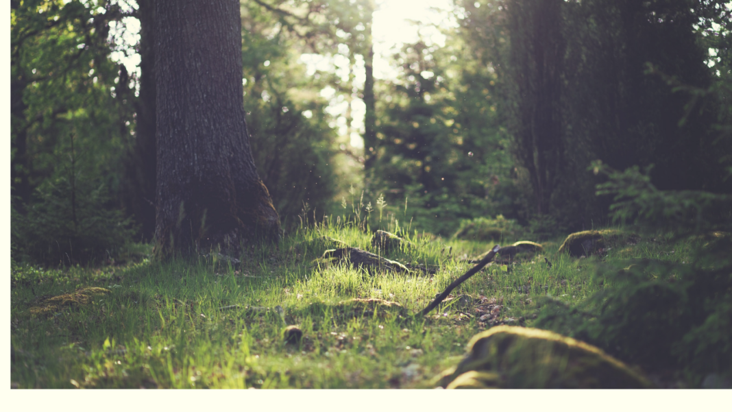 Pink Landscape Desktop Wallpaper (5)