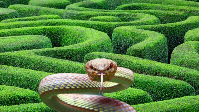 متاهة الافاعي