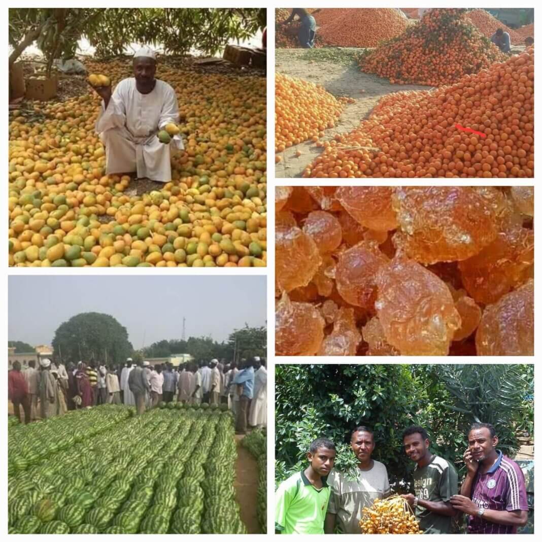 01fa61cc-044b-4e80-8cf3-a5b95966ad5b