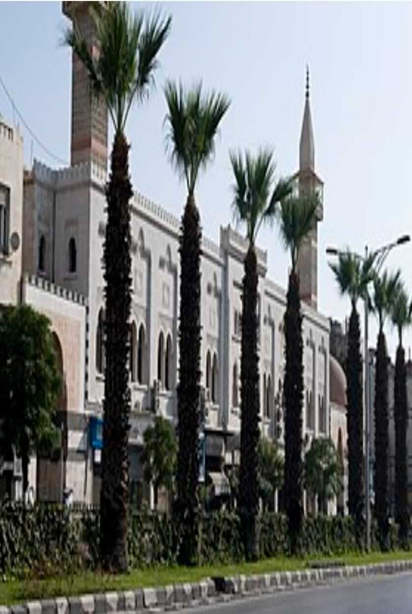 b44c3c21-6d90-4886-9afb-cc4b87e5529f